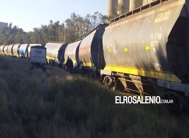 Descarrilaron los vagones de un tren de carga en Ingeniero White