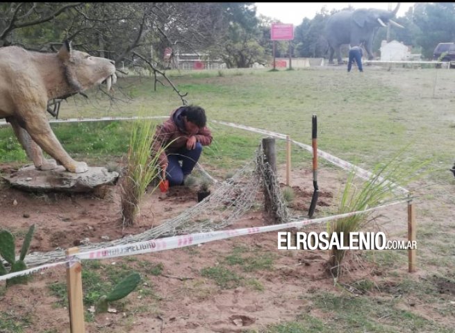 Comenzó la etapa final de los trabajos sobre la plaza paleontológica 