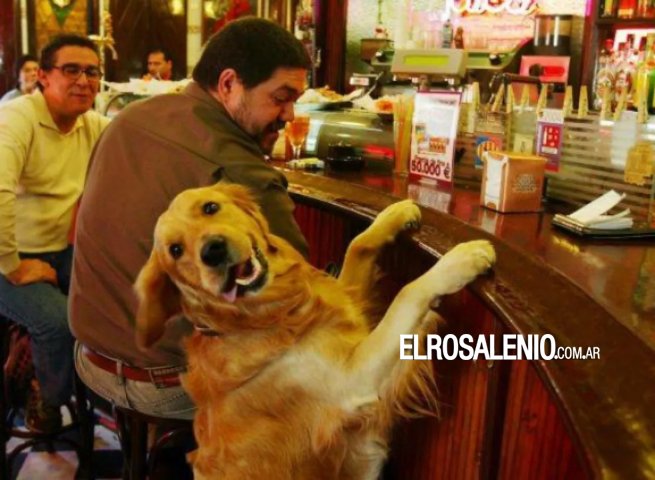 Bahía Blanca quiere declararse “pet friendly“