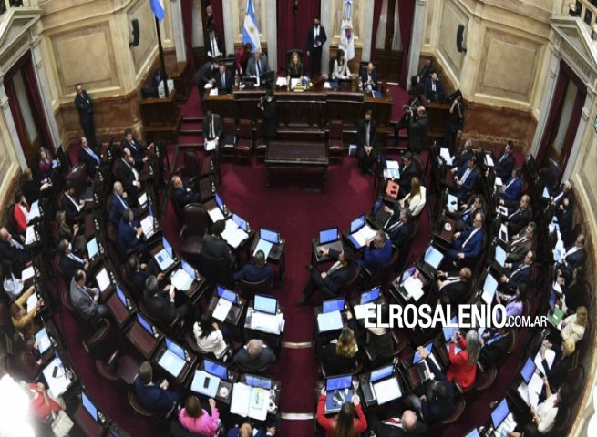 El Senado aprobó una declaración de repudio al ataque contra Cristina Fernández 