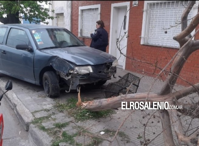 Dobló con el auto y derribó un árbol