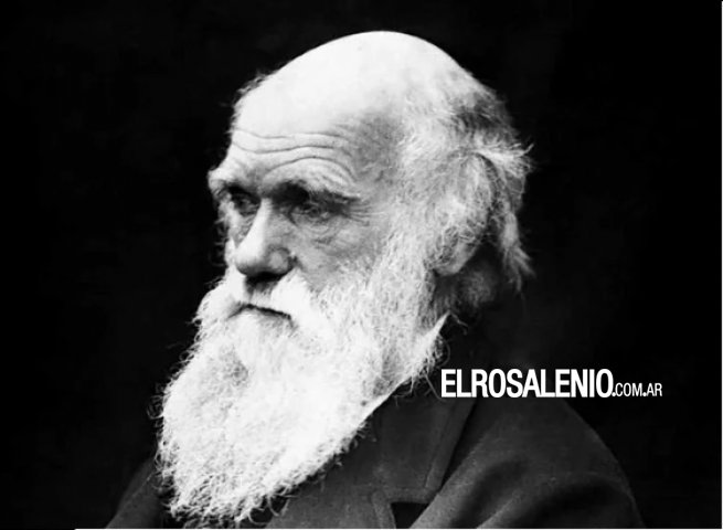 Hoy se cumplen 190 años de la llegada de Darwin a Punta Alta