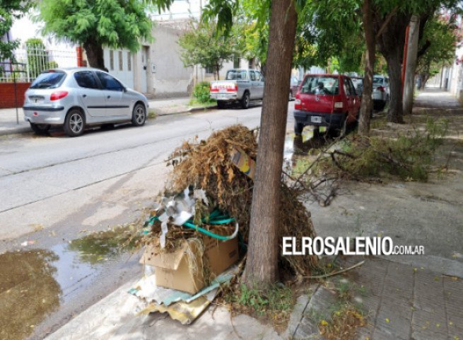 Zona Este: Comienza este lunes la recolección de residuos voluminosos