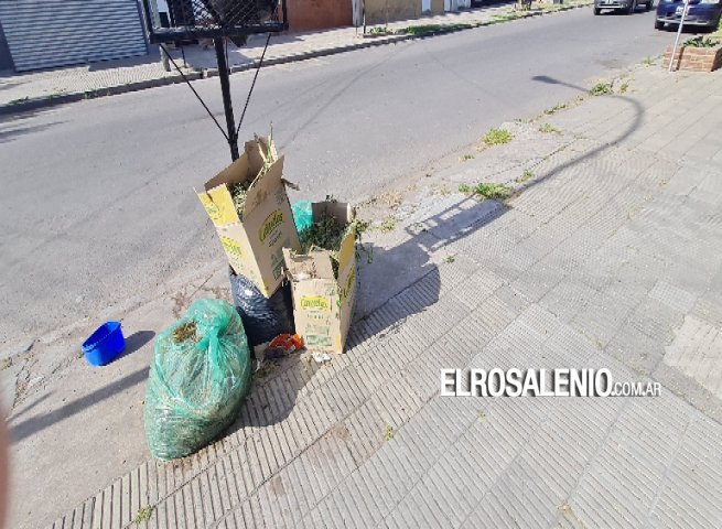 Zona Sur: Hasta el sábado se completará la recolección de residuos voluminosos 