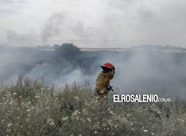 Nuevos episodios de incendios forestales en Punta Alta