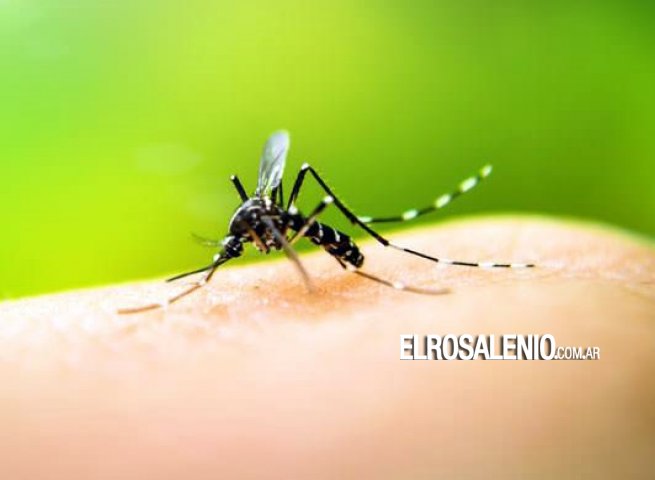 Los contagios de dengue aumentaron casi un 95% en sólo una semana