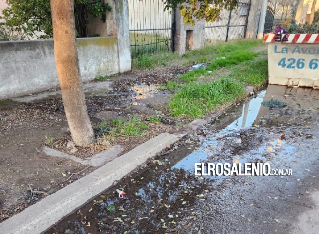 Vecinos reclaman por tres meses de pérdida de agua