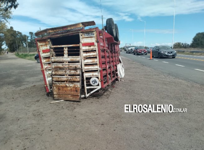 Volcó un carro con terneros en la ruta 229