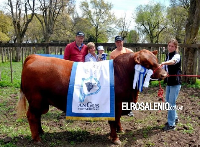 “Torcasita“, de Bajo Hondo fue el Campeón Angus en la muestra regional