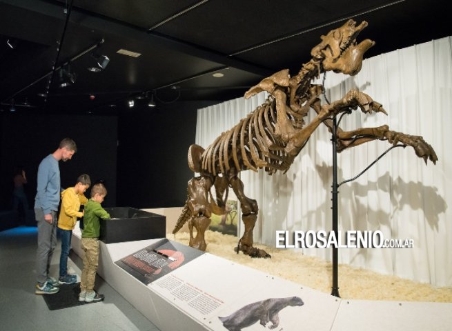 El yacimiento paleontológico de Pehuen Co dice presente en una exhibición en Europa