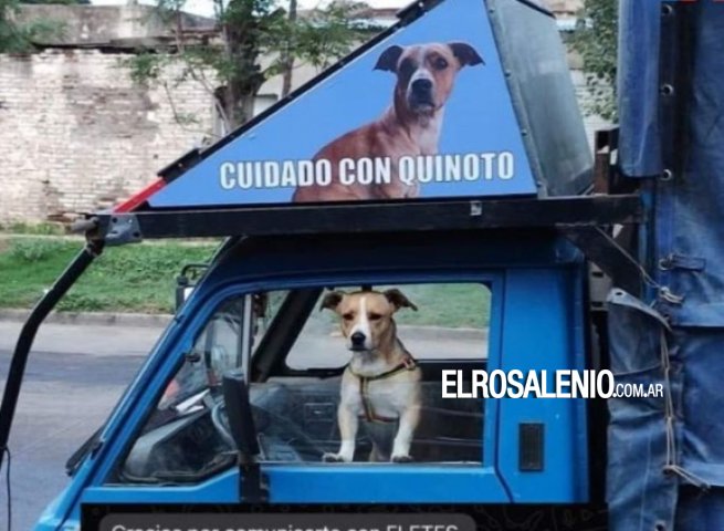 No pudo hacer un flete a Pago Chico porque no lo dejan entrar con el perro