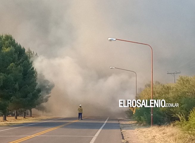 Un incendio forestal ocasionó el corte de la ruta 229