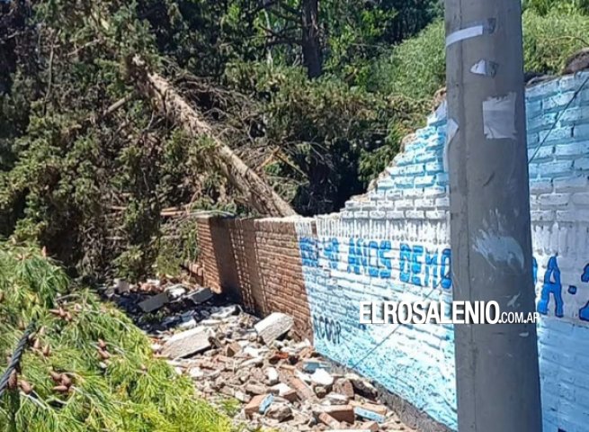 Temporal en Rosales: La situación tras la tormenta