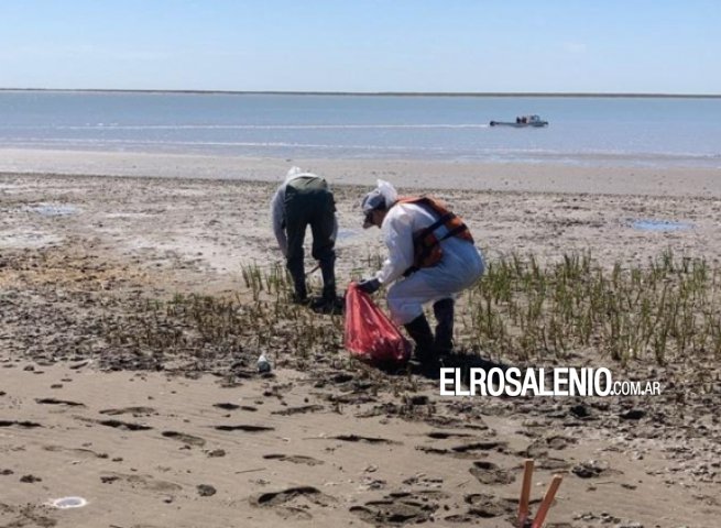 Oiltanking informó que comenzó con las tareas de limpieza