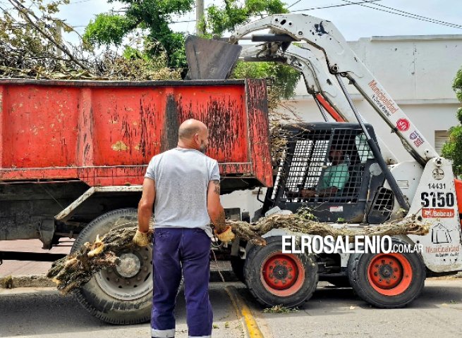 Continúan los trabajos de limpieza en la ciudad