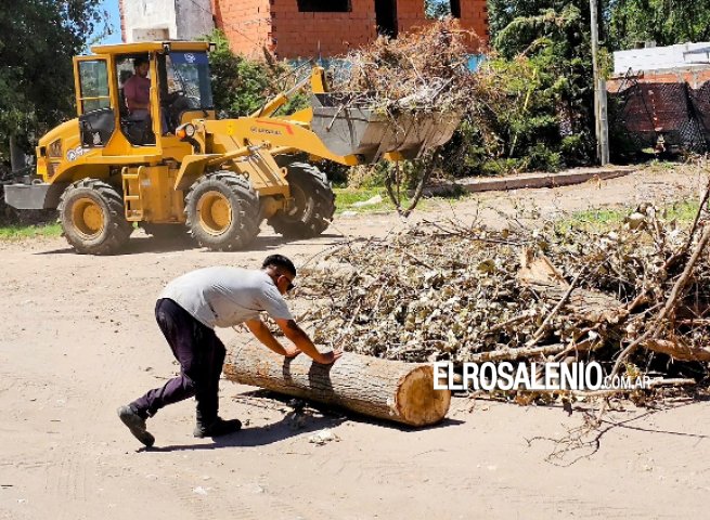 Recolección de residuos voluminosos y barrido Zona Centro