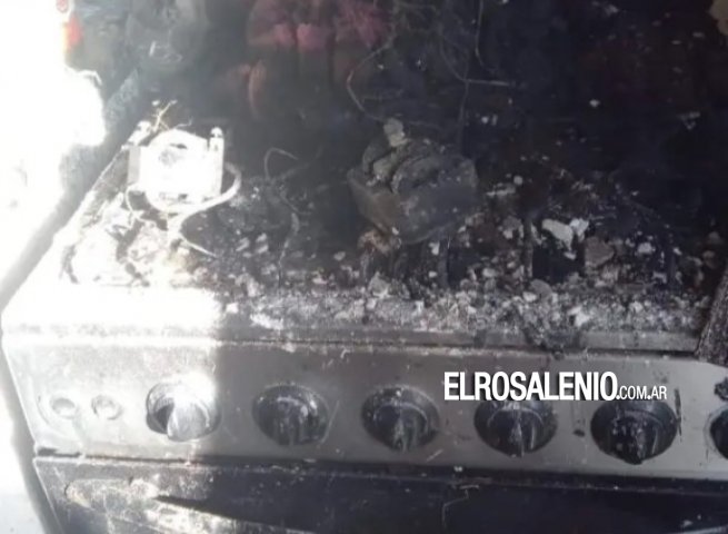 Bahía Blanca: Daños totales en una casa por un incendio