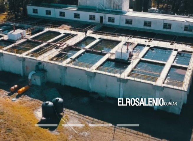  Presencia de algas en el Dique afecta el suministro de agua 