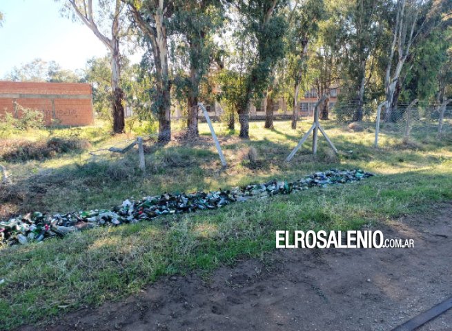 Acopian botellas de vidrios en el Circuito de la Salud, detrás del barrio Albatros V