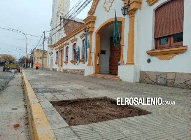 Colocan árboles sobre el frente del Municipio en calle Rivadavia