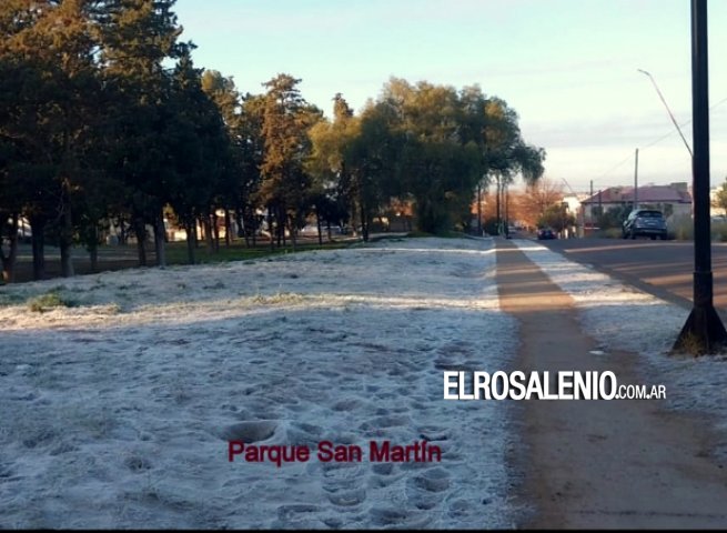 Los espacios verdes de la ciudad, todos vestidos de blanco