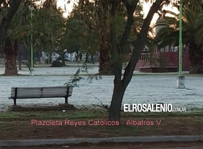 Los espacios verdes de la ciudad, todos vestidos de blanco