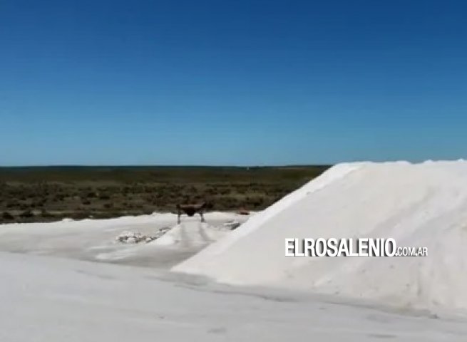 Villarino, en la mira de la exploración minera: Litio y Tierras Raras en el horizonte