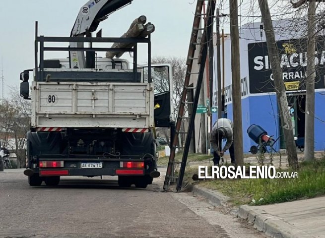 Otra vez, vecinos aseguran que colocan postes de palmera pese a prohibición