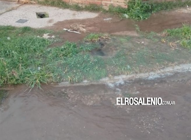 Enorme pérdida de agua en barrio Centenario: comenzó la reparación de ABSA