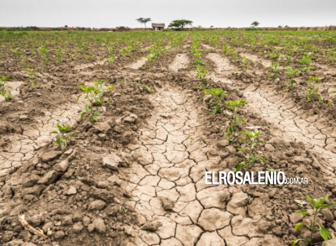 Declararon la emergencia agropecuaria por sequía en Coronel Rosales y la región