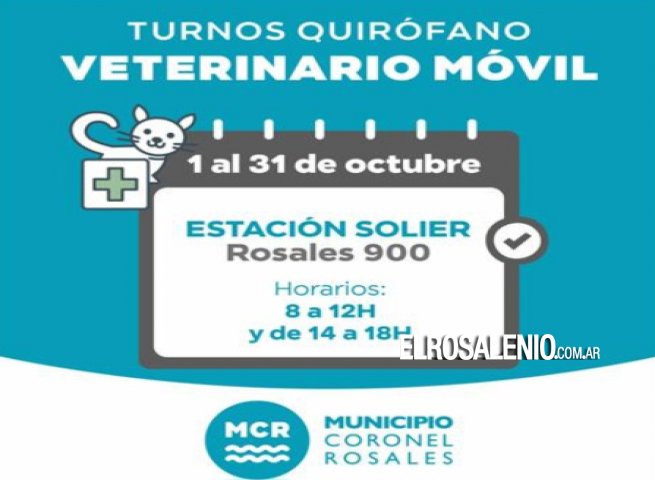 Durante octubre el Quirófano Veterinario Móvil estará en Estación Solier