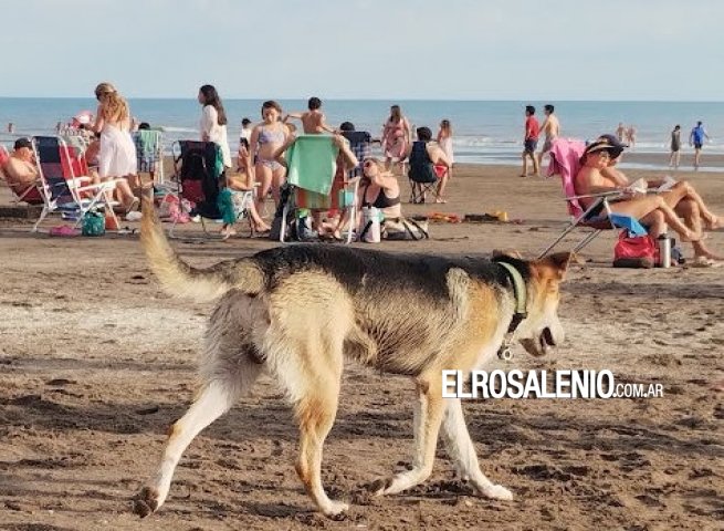 Nueva zona exclusiva de baño: se extendieron los límites de protección en Monte Hermoso