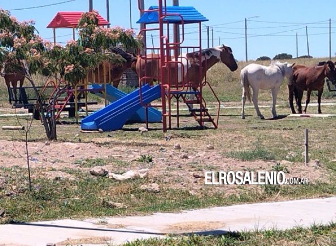 Ahora los caballos ocupan la Plaza de las Infancias recientemente inaugurada