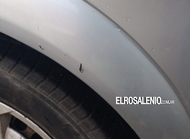 Insólito: perros que atacan vehículos, ahora dañan los guardabarros de los autos 