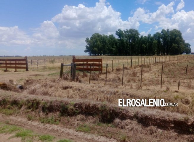 Se resistió a un asalto en un campo, resultó herido y le disparó a uno de los delincuentes