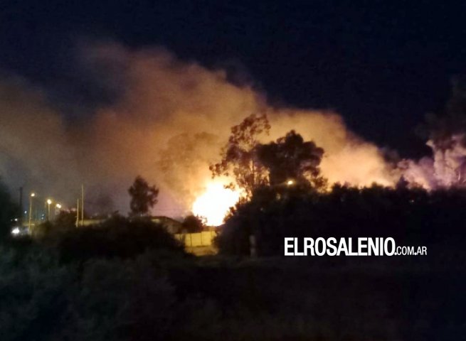 Continúa siendo intensa la actividad de Bomberos ante la reiteración de incendios de pastos