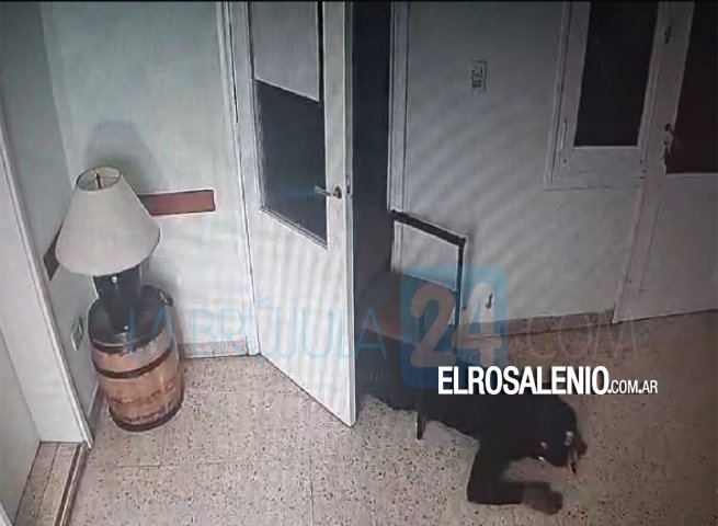 A lo Misión Imposible: así se llevaron $3 millones de un conocido local de bebidas