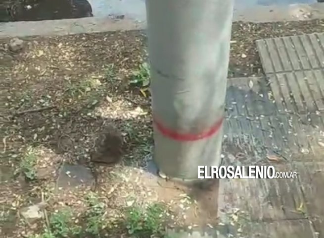Colocaron poste de cables en el frente de la casa y rompieron caños de agua