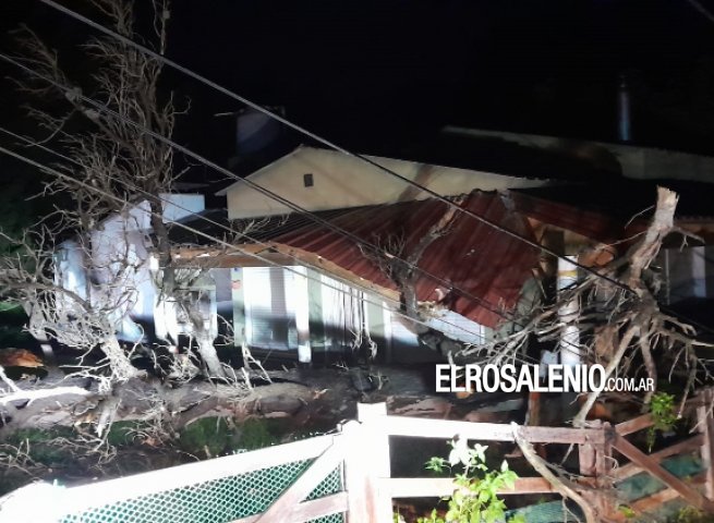 El viento dejó árboles y postes caídos, y daños en la costa de Pehuen Co y Arroyo Pareja