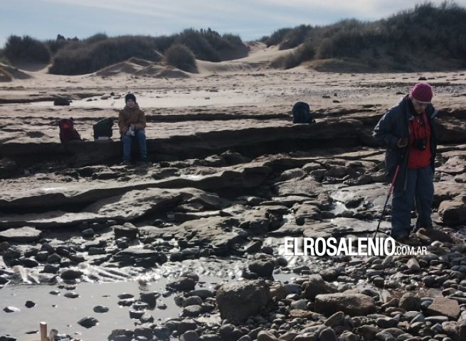 Encontraron más huellas de perezosos gigantes en Pehuen Co