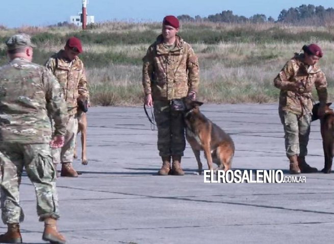 El Concejo Deliberante distinguirá a la Agrupación de Perros de Guerra de la Armada Argentina