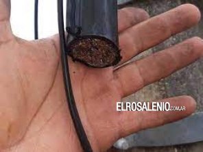 Corte de fibra óptica por robo de cables, deja a Punta Alta sin cable e internet