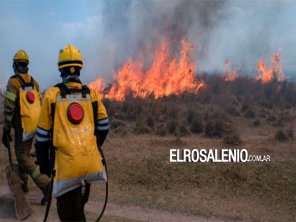 Se quemó el 9% de la superficie territorial de Corrientes