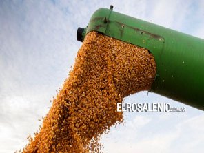 En 2021 Argentina exportó el mayor volumen de granos en su historia 