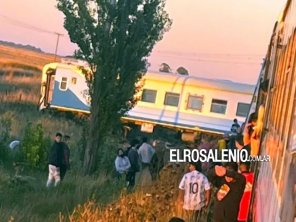 La Justicia Federal suspende la circulación de trenes a Bahía Blanca