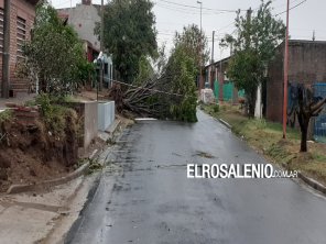 El municipio emitió un informe de la situación actual tras la tormenta