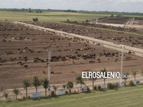 Cuantioso robo en un campo de Pringles