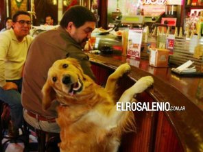 Bahía Blanca quiere declararse “pet friendly“