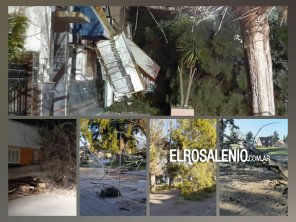 Intensa labor de áreas municipales, bomberos y policía durante y tras el temporal de viento