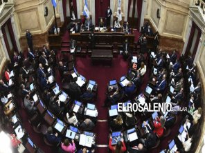 El Senado aprobó una declaración de repudio al ataque contra Cristina Fernández 